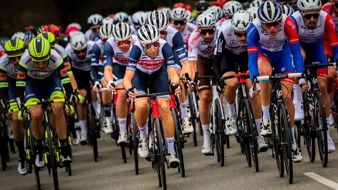 A tight pack of racing cyclists riding together in a road race